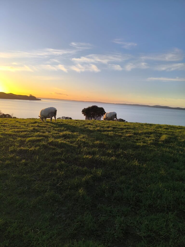 muktiroul photography2