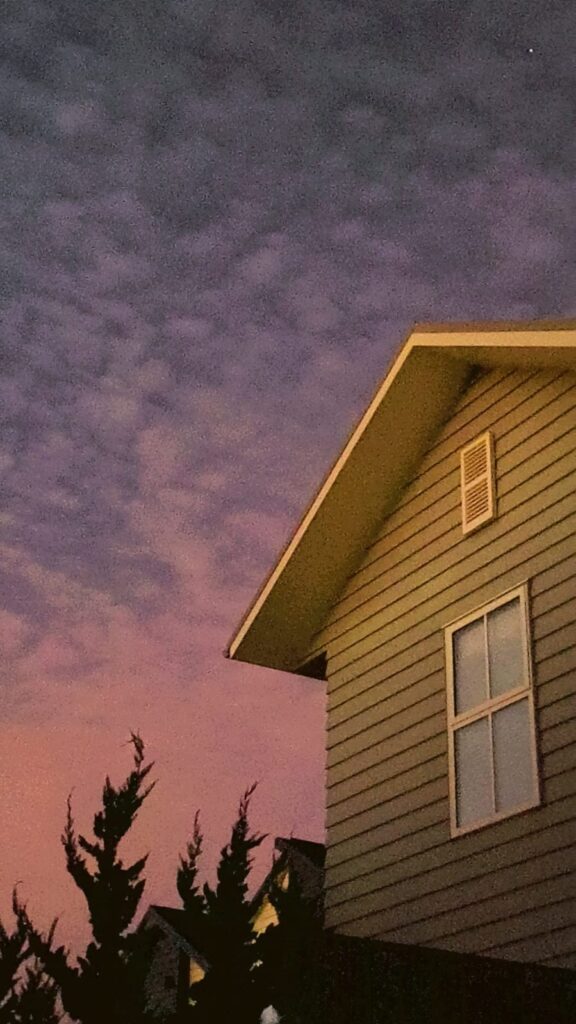 muktiroul photography3